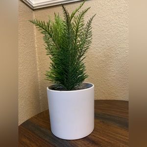 Faux fur indoor plant